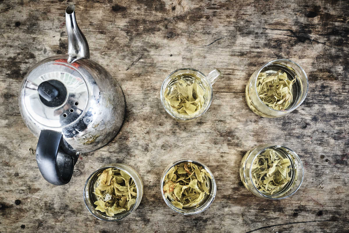 Yixing Teekannen Set