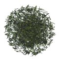 Shincha - grüner Bio Tee aus Japan