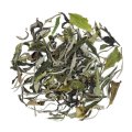 Pai Mu Tan - weißer Bio Tee aus China