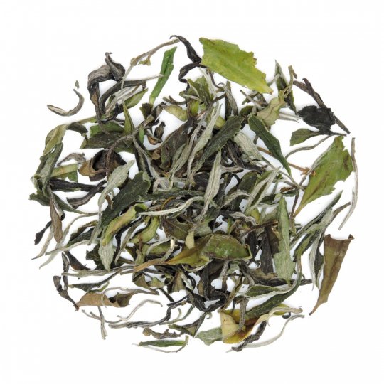 Pai Mu Tan - weißer Bio Tee aus China