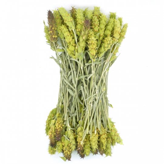 Griechischer Bergtee - Scardica BIO