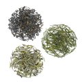 Weißer, Grüner und Oolong Tee