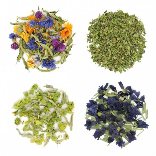 Vier Kräutertees im Mix