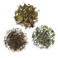 Drei Weiße Tees: Secret Wild Assamica, Pai Mu Tan, Huang Ya