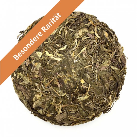 Secret Wild Assamica