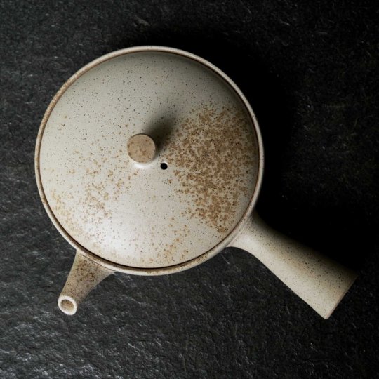 Kyusu Teekanne Yakishime hellgrau Stardust top