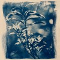 Cyanotypien im Dialog mit der Kunst des Tees