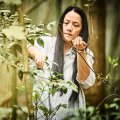 Katie Yen im wilden Teegarten