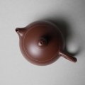 XIshi Zini 100ml