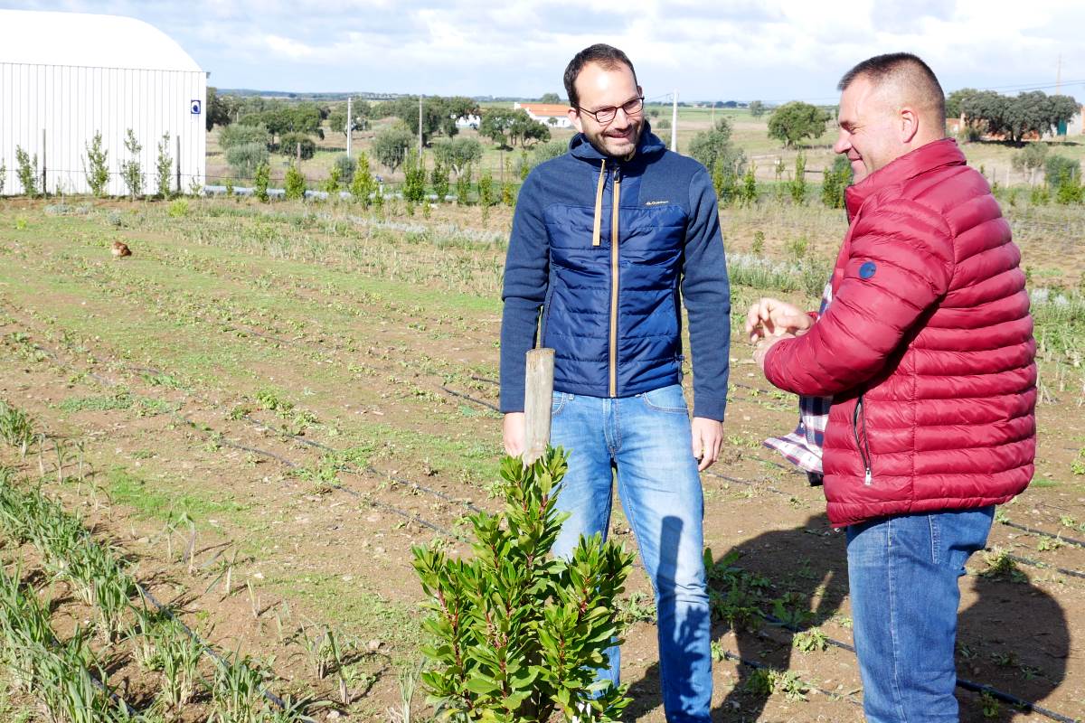 Zu Besuch in der kleinen Kräuterei im Alentejo
