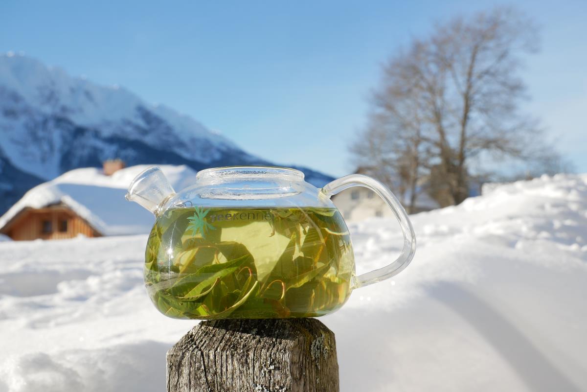 Zitronenverbene Aufguss