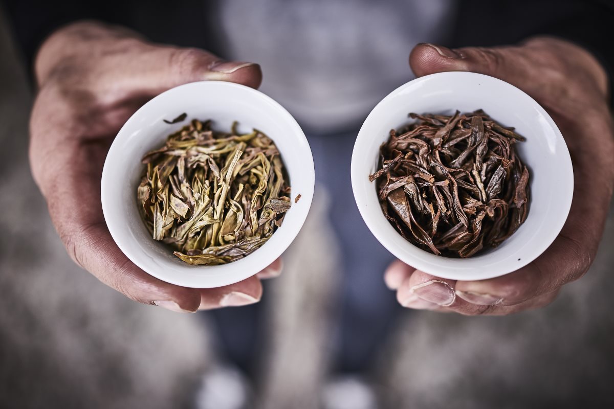 Verschiedene Sorten Oolong-Tee