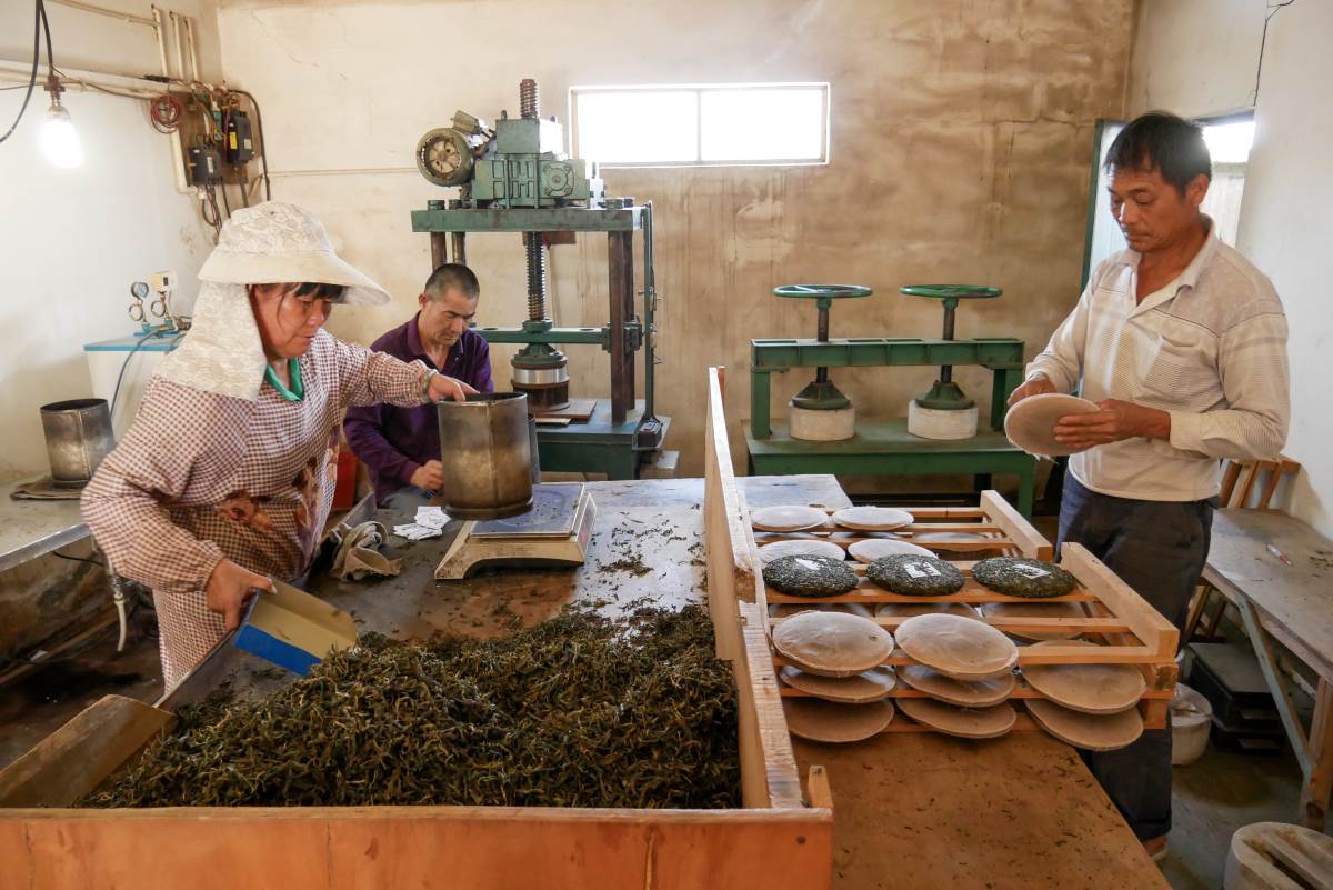 Pu-Erh Tee Manufaktur am Ailao Berg, Yunnan, China