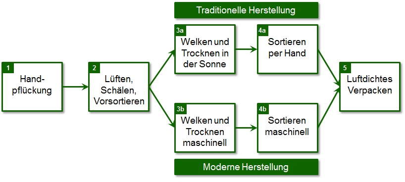 Herstellprozess Weisser Tee