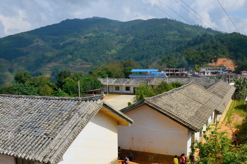 Pu-Erh Tee Dorf Wencha