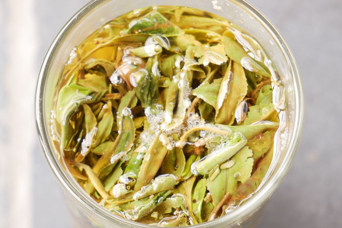 Frischer Aufguss des High Mountain First Flush Tees aus Nepal