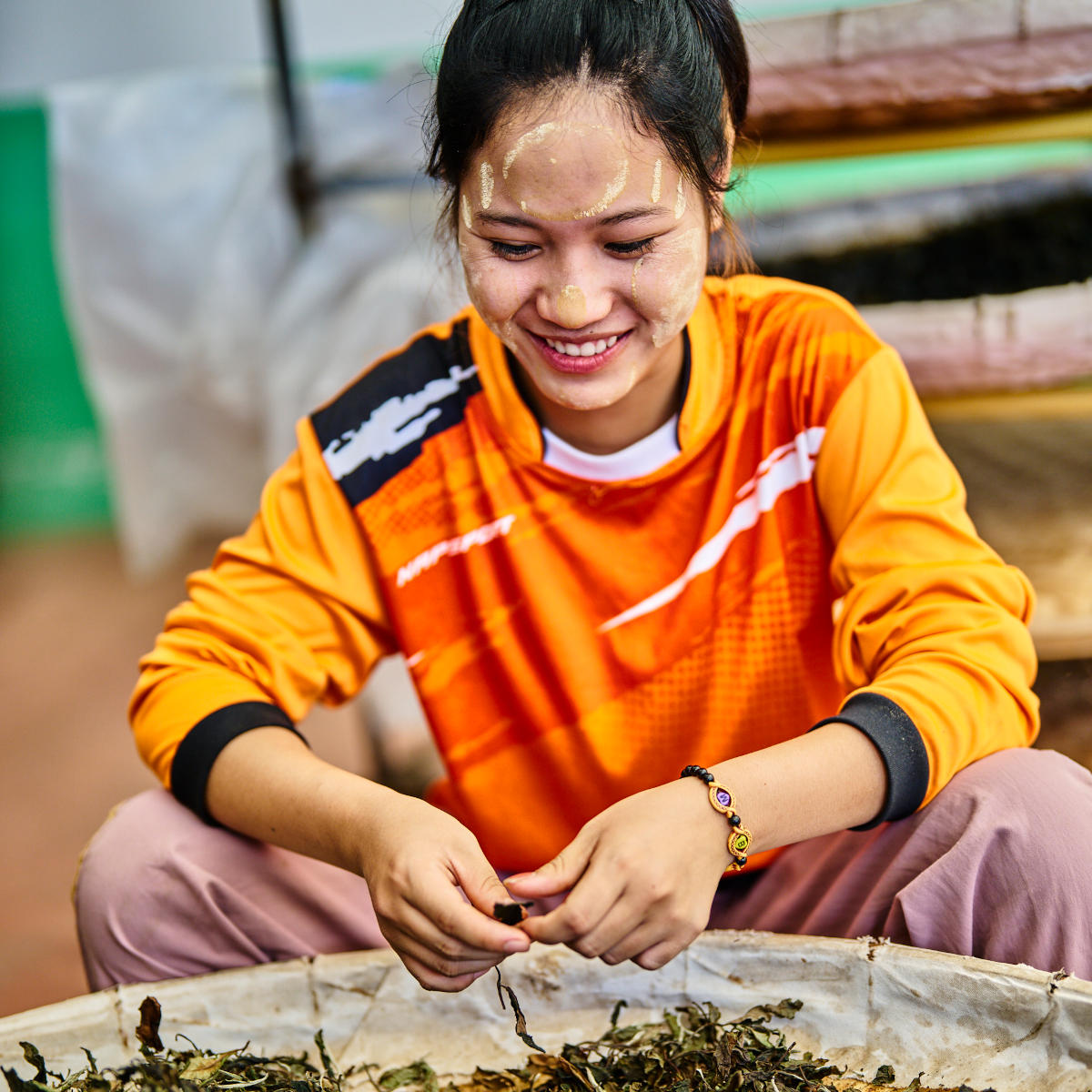 Teeblätter für den Dong Fang Hong Oolong.