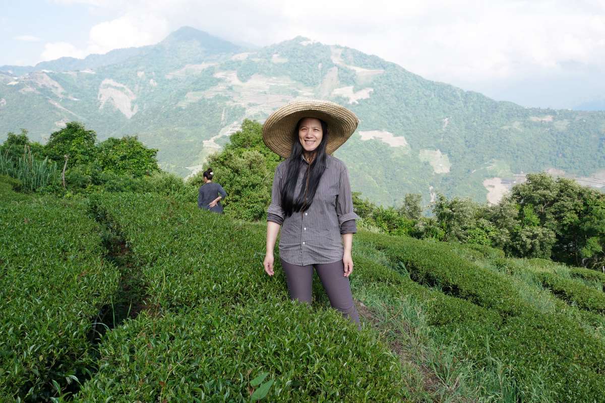 Ching-Jin Oolong Teegarten in Nantou, Taiwan.