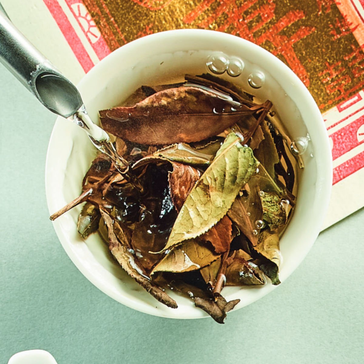 Einer der besten weißen Tees: High Mountain White Dew