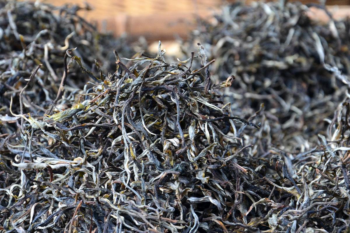 Bangwai Gushu Teeblaetter