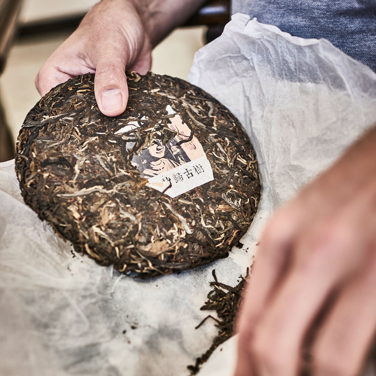 Bangwai Gushu Teeblaetter