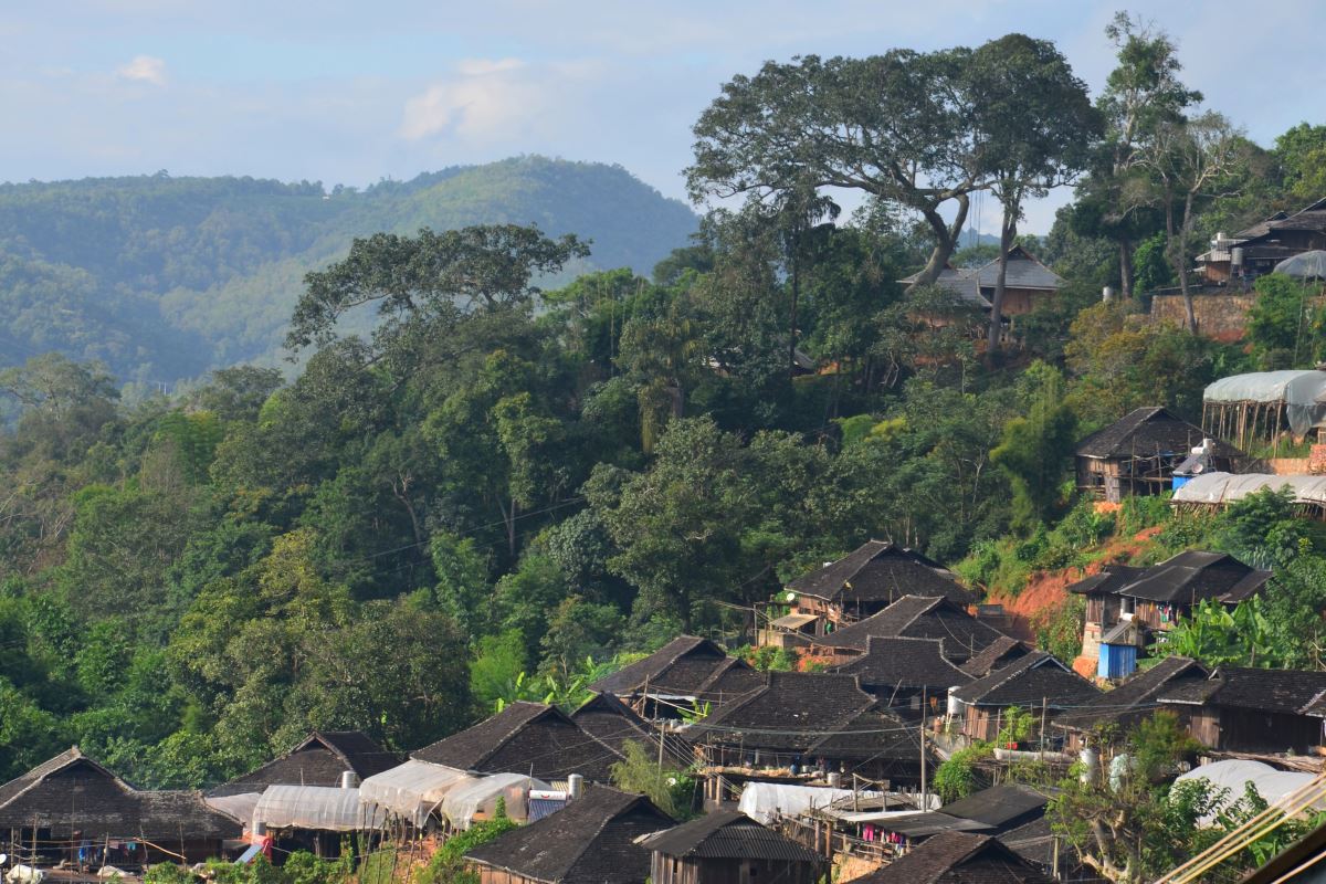 Jingmai Pu Erh Dorf