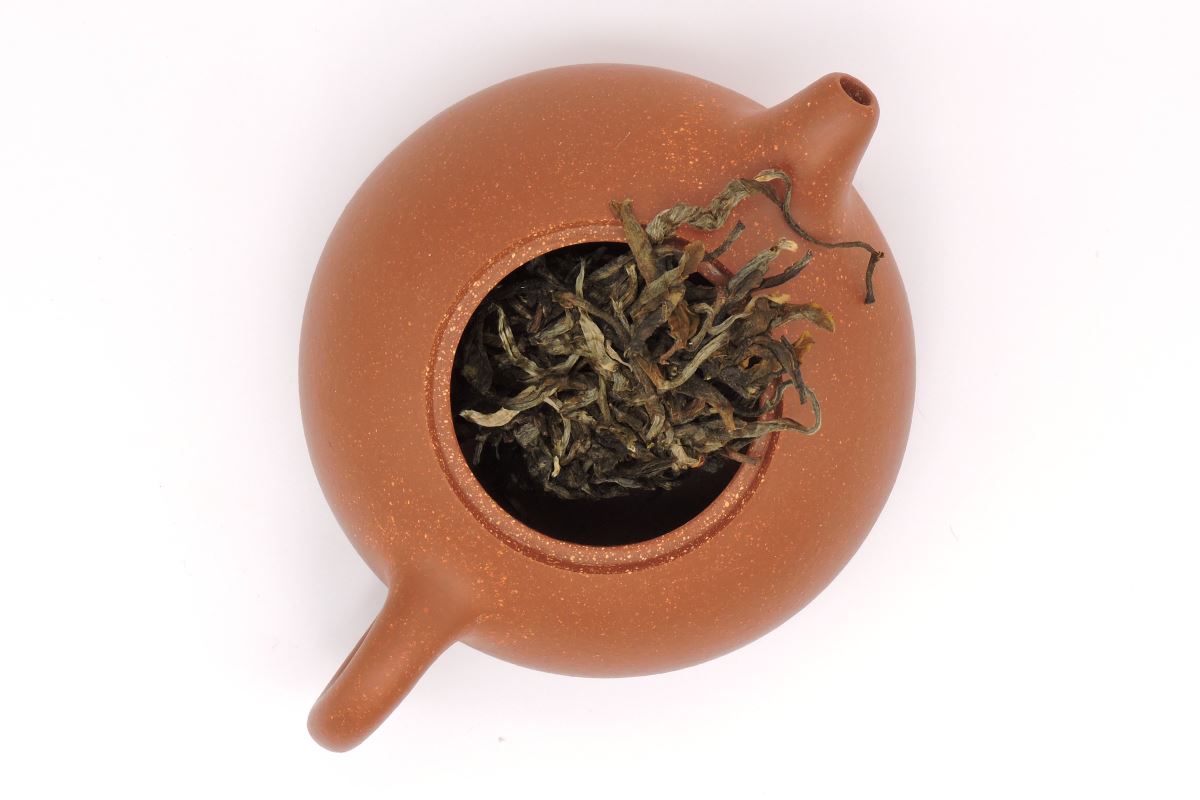 Jingmai Sheng Aufguss