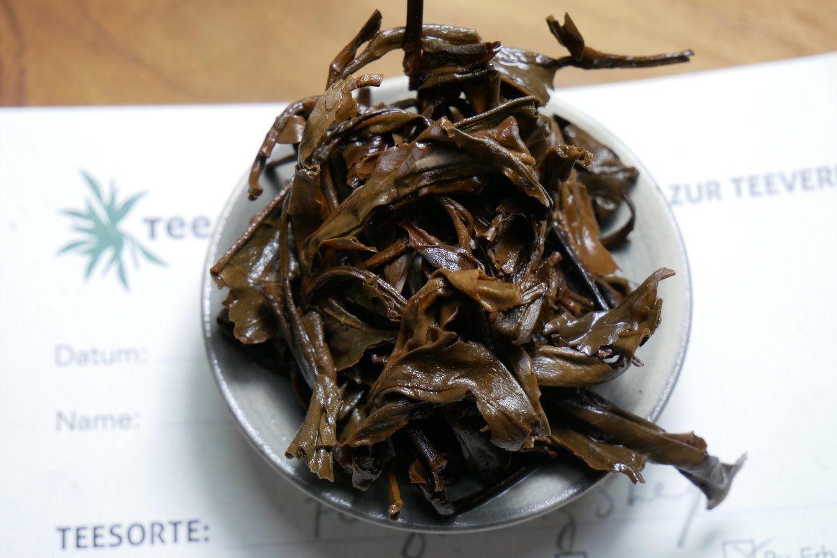 Die lange Reifung hat die Blätter dieses Yiwu Sheng Pu-Erhs deutlich dunkler werden lassen.