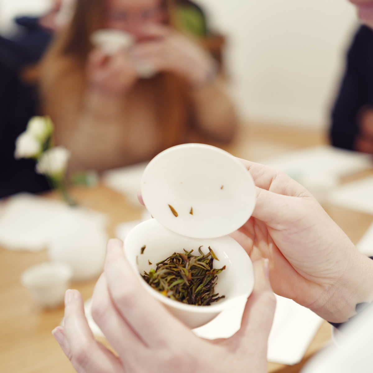 Zubereitung Silver Needles Nepal im Gaiwan