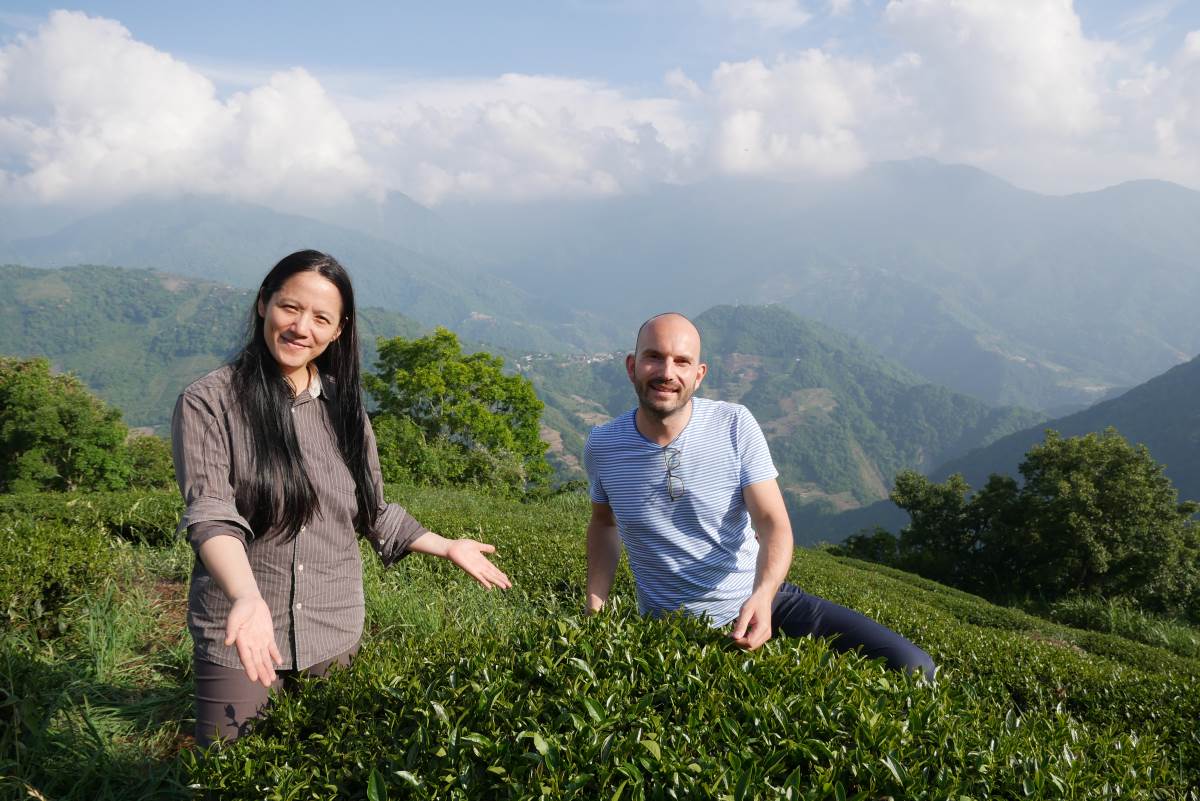 Qing Jing Teegarten auf 1.800 Metern Meereshöhe